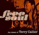 『Free Soul. the classic of Terry Callier』