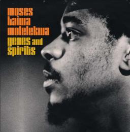 Moses Taiwa Molelekwa『Genes And Spirits』