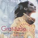 V.A.『Gratitude ~ Free Soul Treasure 1』(LP)