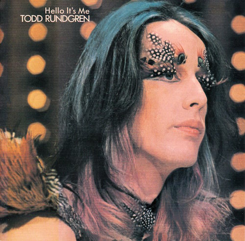TODD RUNDGREN / RUNT BEARSVILLE LP Vinyl record 中古レコード通販